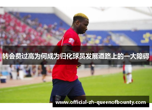 转会费过高为何成为归化球员发展道路上的一大障碍 转会费过高为何成为归化球员发展道路上的一大障碍