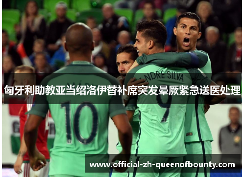 匈牙利助教亚当绍洛伊替补席突发晕厥紧急送医处理 匈牙利助教亚当绍洛伊替补席突发晕厥紧急送医处理