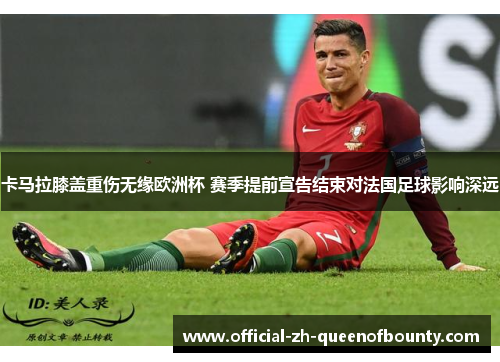 卡马拉膝盖重伤无缘欧洲杯 赛季提前宣告结束对法国足球影响深远 卡马拉膝盖重伤无缘欧洲杯 赛季提前宣告结束对法国足球影响深远